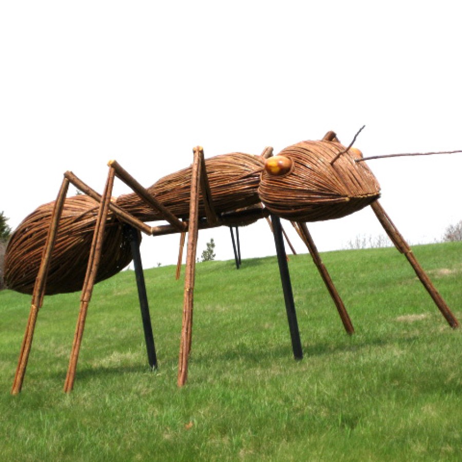 real giant ants