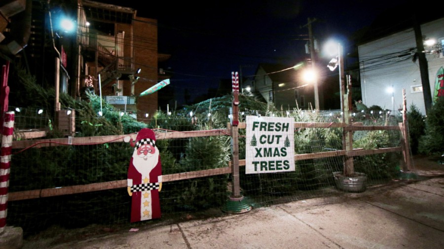 Keeping the Season Bright The Business of Christmas Tree Lots WBEZ