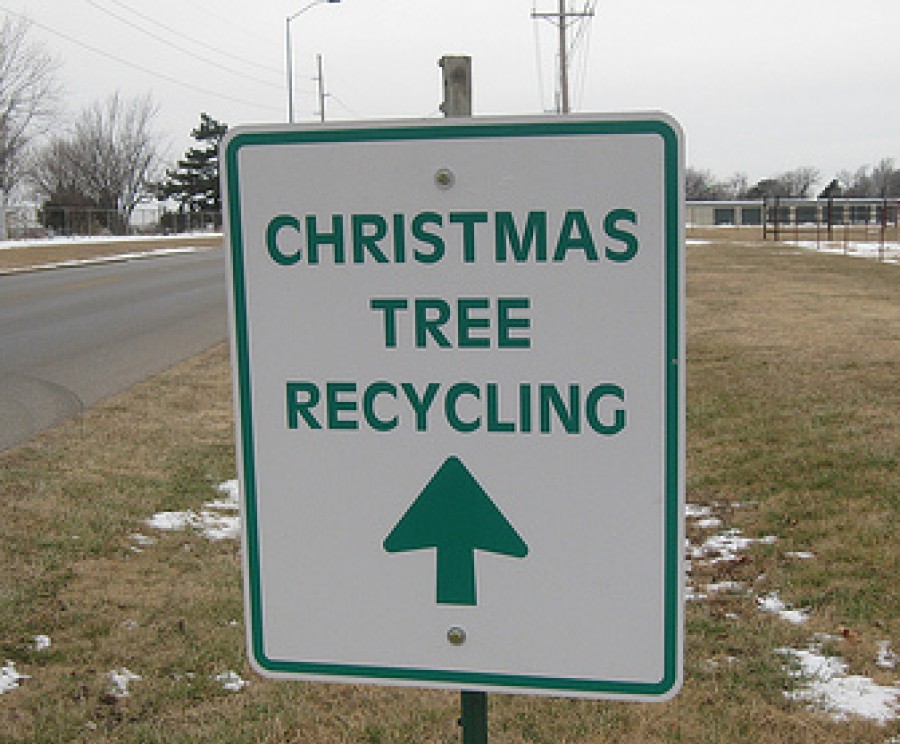 Map Where to recycle your Christmas tree WBEZ Chicago