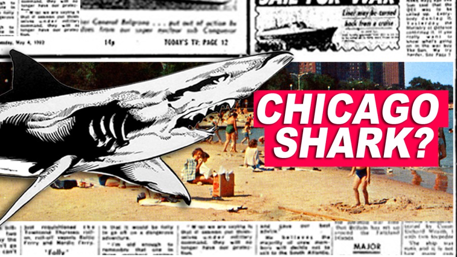Are There Sharks in Lake Michigan: Myth Unveiled!