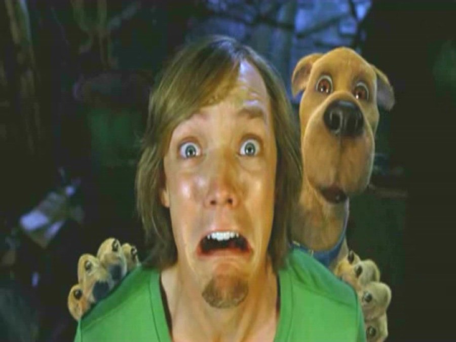 Zoinks! Audiences Are Casually Ripping 'Velma' to Shreds, and Not Just  Because Shaggy's a Stoner