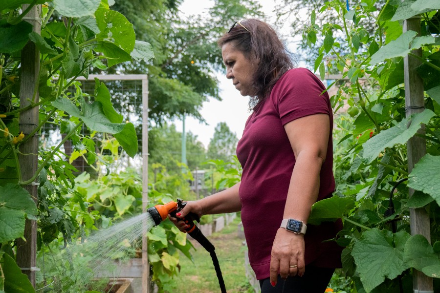 El Paseo Community Garden