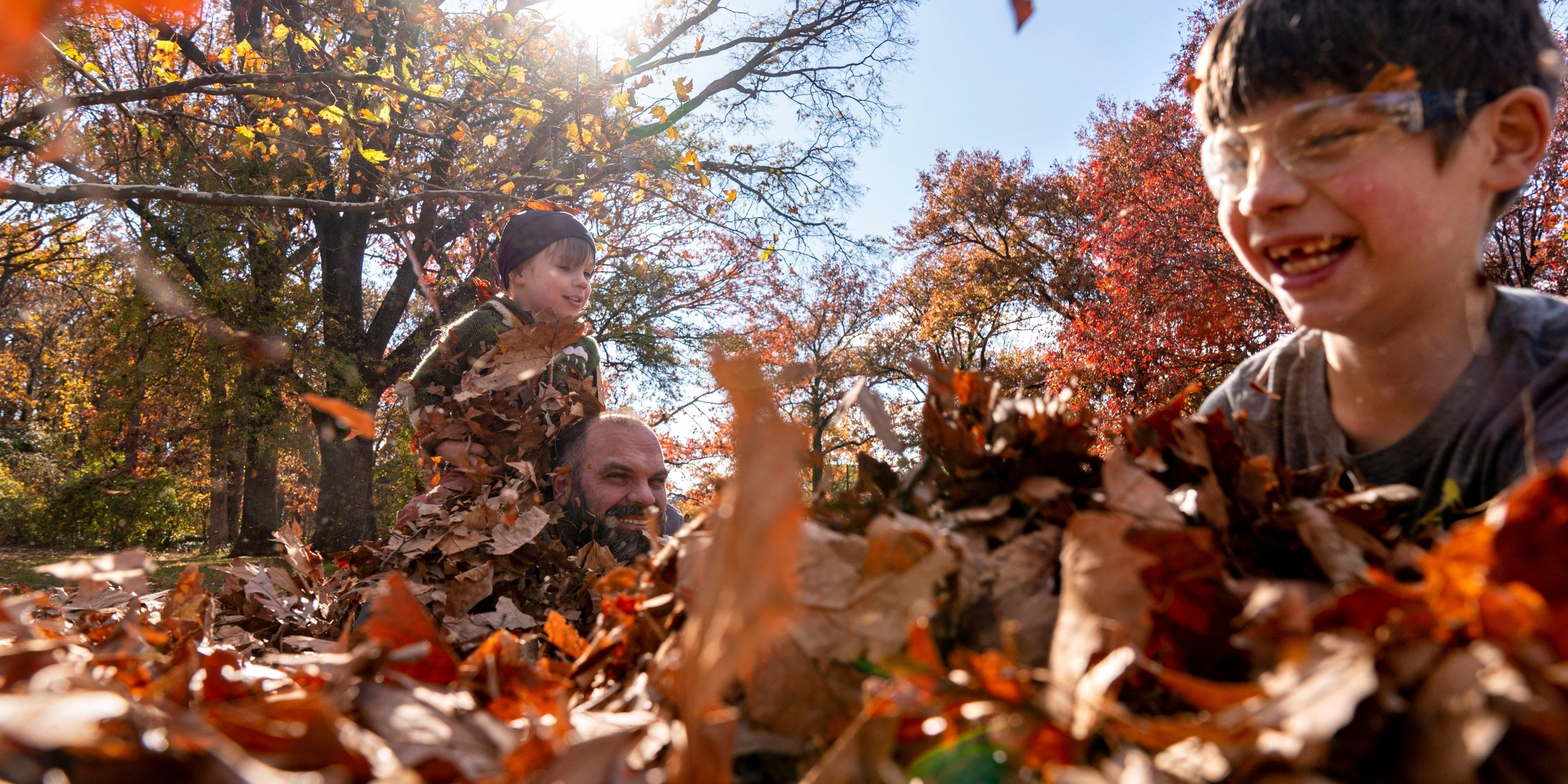 Want To Improve Your Lawn? Don't Bag Those Leaves : NPR