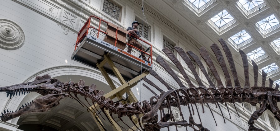 Waking the T. rex 3D: The Story of SUE - Field Museum