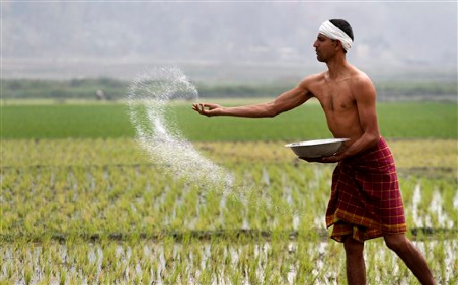 Film explores suicide epidemic among Indian farmers | WBEZ Chicago