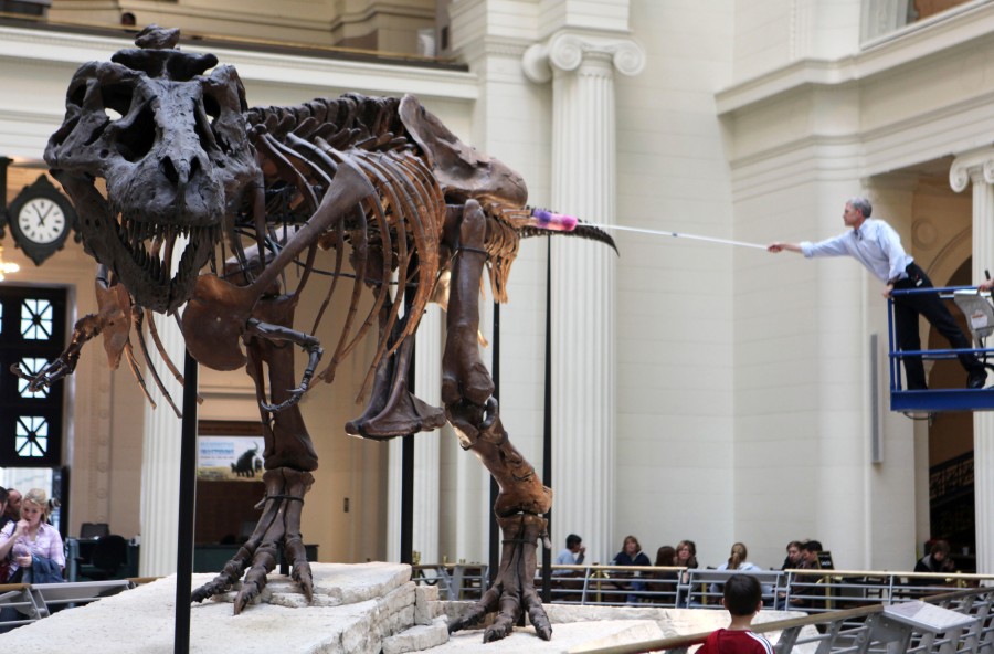 Sue the T. Rex gets life-like model to match skeleton - Chicago