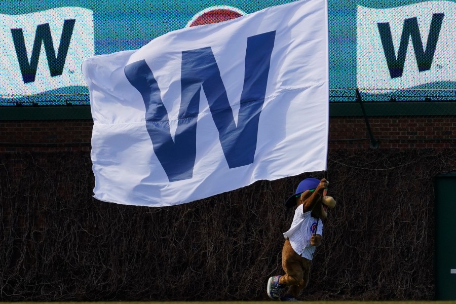 Chicago Cubs mascot Clark holds a Chicago Cubs 'W' flag while running on the field