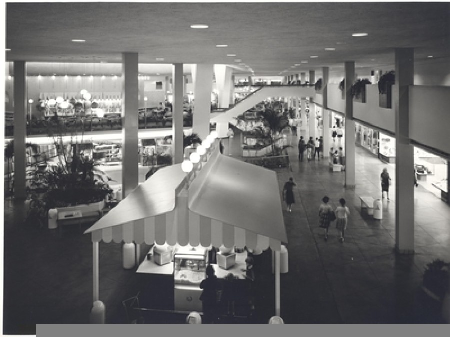 Randhurst Center: Suburban mall lives again in new book | WBEZ Chicago